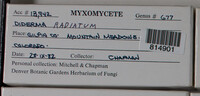 Image Associated With the Occurence